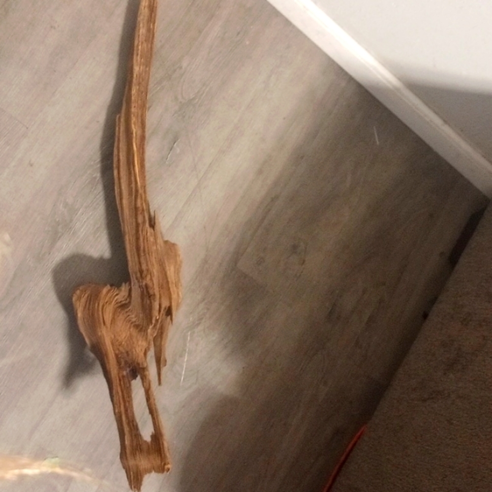 Driftwood